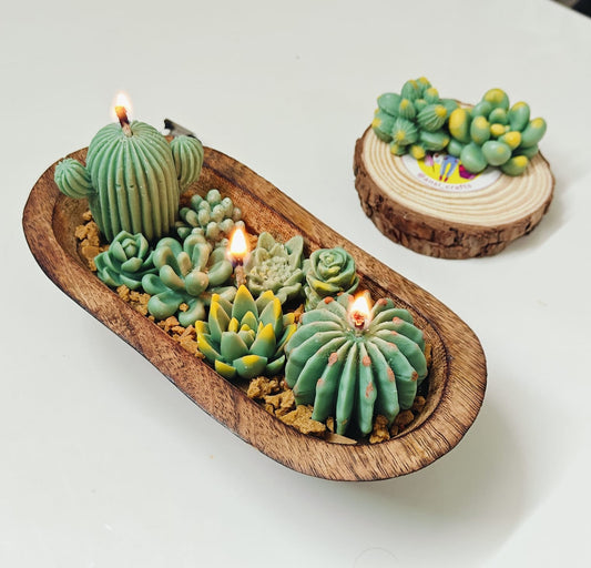 Mini Succulent Garden Candle Bowl